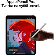 IPad Pro 11 WiFi 256GB StGl Black APPLE