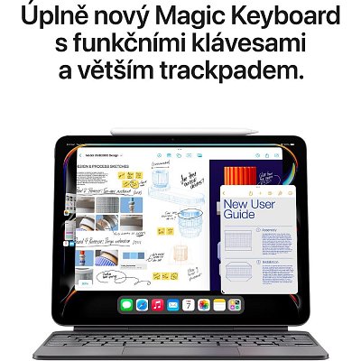 IPad Pro 11 WiFi 256GB StGl Black APPLE