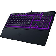 Ornata V3 X keyboard US RAZER