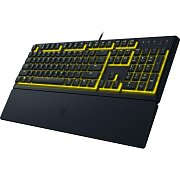 Ornata V3 X keyboard US RAZER