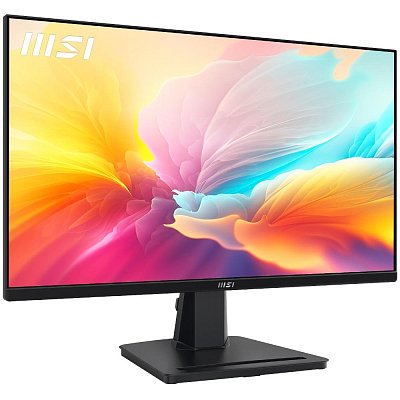 PRO MP251 24,5 FHD IPS 100Hz MSI