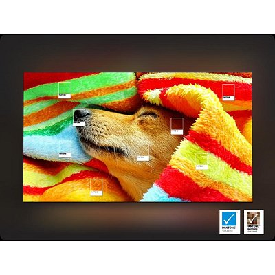 QE65QN80F Neo QLED TV SAMSUNG