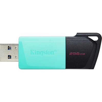 USB FD DTXM/256GB USB3.2 Gen 1 KINGSTON